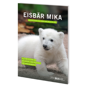 Eisbär Mika