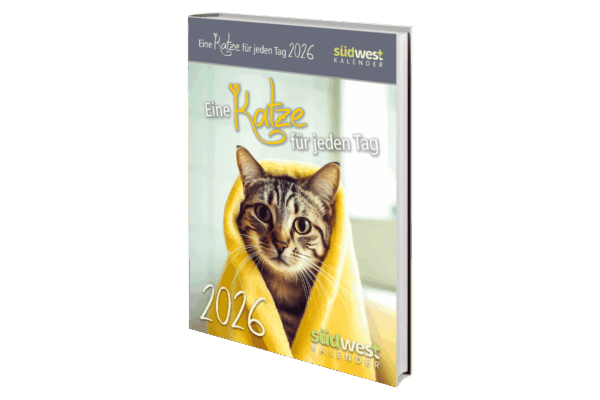 Eine Katze für jeden Tag