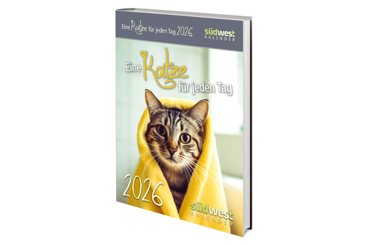 Eine Katze für jeden Tag