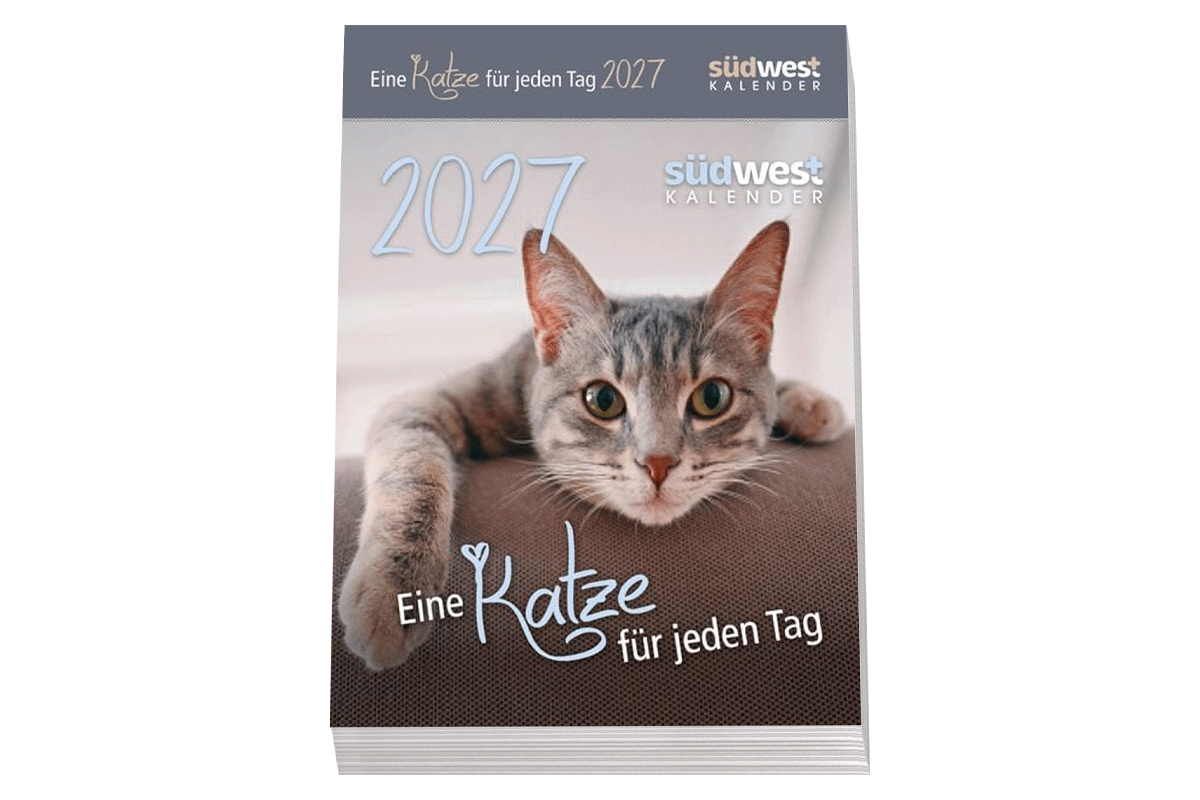 Eine Katze für jeden Tag